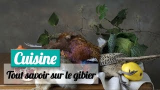 Tout savoir sur le gibier [upl. by Araet]