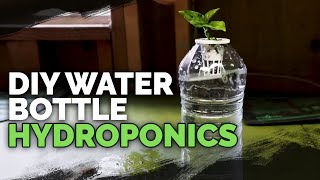 DIY Water Bottle Hydroponic System for Propagating and Herbs [upl. by Tonina209]