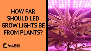 How Far Should LED Grow Lights Be From Plants  FAQ [upl. by Elleuqar]