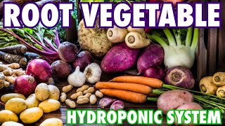 A Hydroponic System for Root Vegetables [upl. by Vernita]