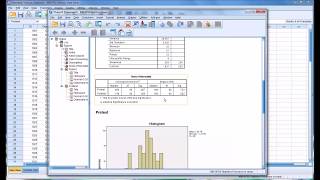 Normality Tests in SPSS [upl. by Grous644]