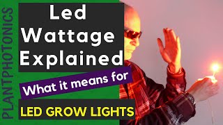 Led Grow Lights  Led Wattage Explained [upl. by Mcleod]