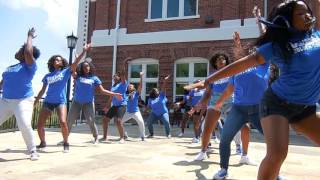 Zeta Phi Beta Tuskegee Stroll Off 2016 [upl. by Edin]