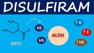 Disulfiram  Mechanism side effects and uses [upl. by Aiuqet354]