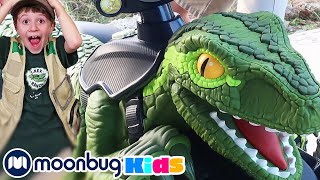 Dinosaur Green Raptor Ride  Jurassic Tv  Dinosaur Adventures for Kids [upl. by Teragramyram224]