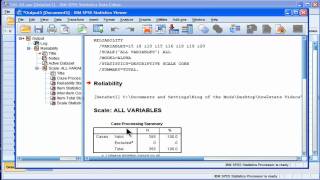 Cronbachs Alpha  SPSS part 1 [upl. by Gregor255]