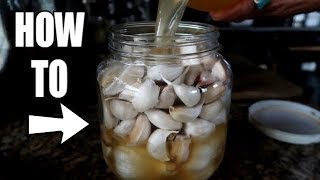 HOW TO PRESERVE GARLIC FOR YEARS ULTIMATE PREPPER TRICK [upl. by Elokkin848]