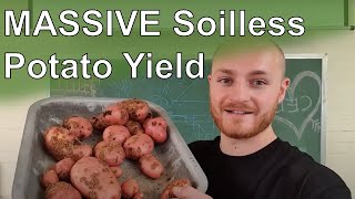 MASSIVE Hydroponic Potato Yield  Spud Life PhD [upl. by Mozart]