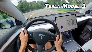 2021 Tesla Model 3 Performance  Is it a Drivers Car POV [upl. by Lilia]