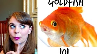 GOLDFISH 101  How To Care For A Goldfish [upl. by Bloem]