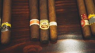 Understanding Cigars [upl. by Ahsenrat594]