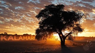 The Kalahari  Namibias Red Desert [upl. by Fletcher]