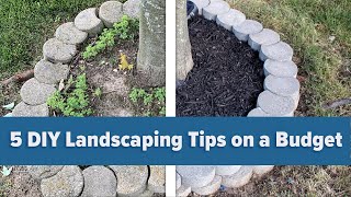 5 DIY Landscaping Tips on a Budget [upl. by Holladay]