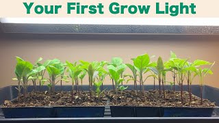 Grow Lights for Seed Starting [upl. by Gauntlett101]