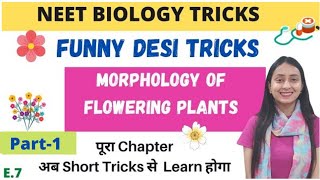 NEET BIOLOGY TRICKS Morphology of Flowering Plants  Part1 [upl. by Eido]