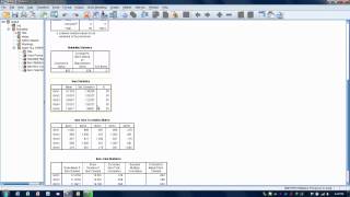 How to Use SPSSCronbachs Alpha Reliability Test [upl. by Euphemiah]