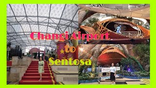 Changi Airport to Sentosa [upl. by Skippie]