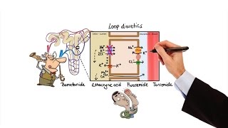 Pharmacology  DIURETICS MADE EASY [upl. by Babcock978]