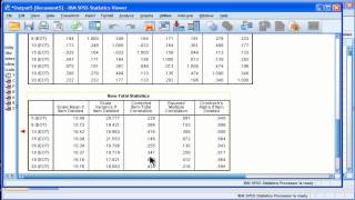 Cronbachs Alpha  SPSS part 2 [upl. by Bartholomeus]