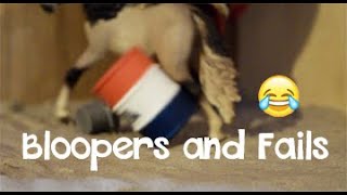 Schleich Filming Bloopers amp Fails 2019 [upl. by Danika]