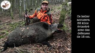 Chasse au gros gibier saison 20192020 [upl. by Ahsena257]