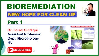 Bioremediation  What is bioremediation  Remediation of Waste  Biotreatment  Biorestoration [upl. by Gujral387]