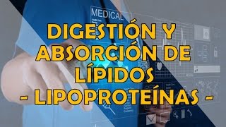 DIGESTIÓN Y ABSORCIÓN DE LÍPIDOS  LIPOPROTEINAS [upl. by Nnylasor]