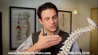 The Pettibon System for Chiropractic Care [upl. by Hsemin]