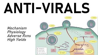 Antiviral Pharmacology [upl. by Oriana842]