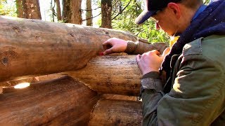 How I Make a Saddle Notch Ep42 Outsider Log Cabin [upl. by Mozart]