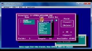 Foxpro Basic Commands [upl. by Bartley618]