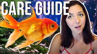 Goldfish Beginner Care Guide  Basic Care For Goldfish [upl. by Ardekal712]