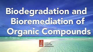 Biodegradation and Bioremediation of Organic Compounds by Lawrence Wackett PhD [upl. by Alda]