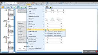 Reliability analysis using Cronbachs Alpha using SPSS [upl. by Nate]