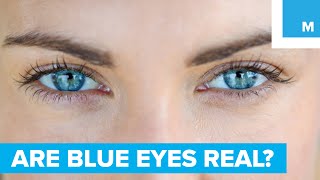 Are Blue Eyes Really Blue  Sharp Science [upl. by Harras]