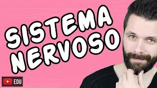 SISTEMA NERVOSO  FISIOLOGIA  Aula  Biologia com Samuel Cunha [upl. by Naz747]