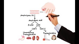 Pharmacology  NSAIDs amp PROSTAGLANDIN ANALOGS MADE EASY [upl. by Naltiac]