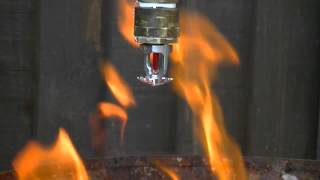 Fire sprinkler test with water [upl. by Eldwun]