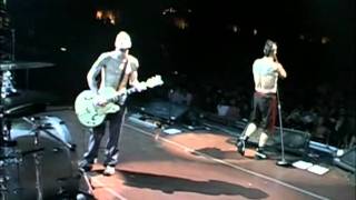 Red Hot Chili Peppers  Californication  Live Off The Map HD [upl. by Philbrook103]