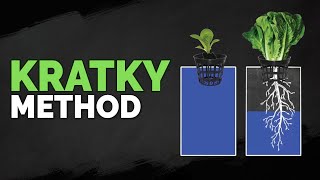 How to Set Up The Kratky Hydroponics Method Tutorial [upl. by Bissell]