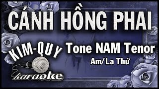 CÁNH HỒNG PHAI  KARAOKE  Tone NAM Tenor  Amla Thứ [upl. by Auqinehs]