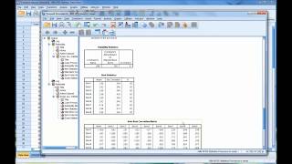 Calculating and Interpreting Cronbachs Alpha Using SPSS [upl. by Thorvald]