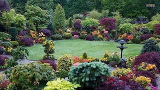 Best ideas  Top 80 Garden Small Backyard Landscaping  Beautiful Gardens Ideas [upl. by Evers434]