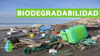 BIODEGRADABILIDAD de los MATERIALES  Productos BIODEGRADABLES [upl. by Eiryt]