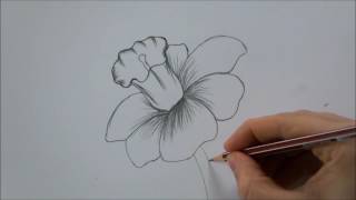 How To Draw a Flower step by step In 6 Minutes [upl. by Reivaz]