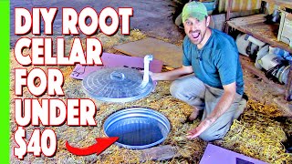 Our Simple Inexpensive Root Cellar Build [upl. by Ayote]