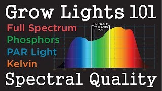 PAR Light Quality LEDs amp HID Plant Grow Light Basics 101 Do Plants Use Green Light [upl. by Alrep533]