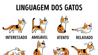 COMO ENTENDER MELHOR O SEU GATO [upl. by Sorazal]