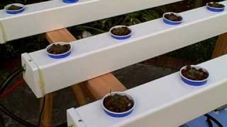 How to Build a Hydroponic Garden [upl. by Kursh]