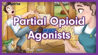 Partial Opioid Agonists Mnemonic for USMLE [upl. by Suiravat663]